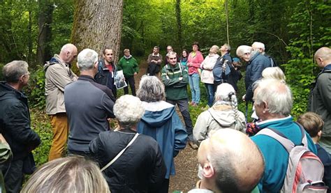 Nouaill Maupertuis Sortie Nature Dans Le Bois De La Garenne