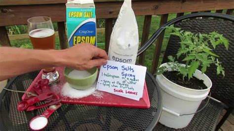 Epsom Salt For Fruit Trees Fruit Trees