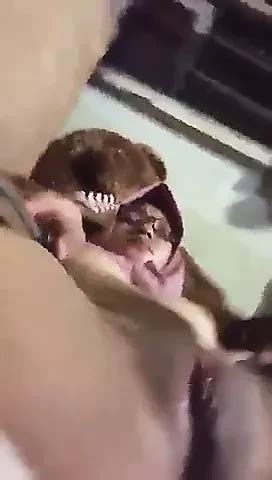 Hijab Indoneisan Girl Selfie Mastubating Girl Masturbating Porn XHamster