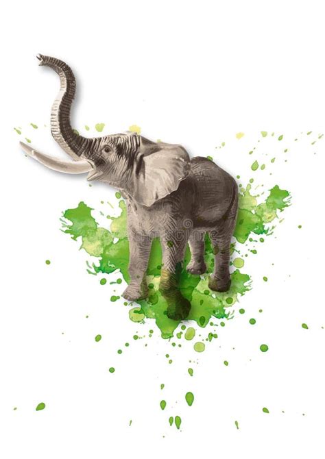 Elephant Front View Stock Illustrations 793 Elephant Front View Stock