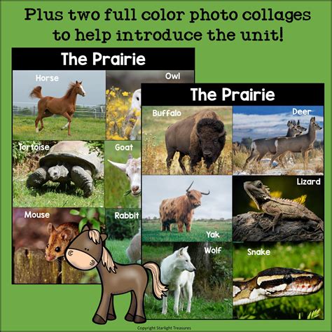 The Prairie Mini Book for Early Readers: Prairie Animals – Starlight Treasures LLC