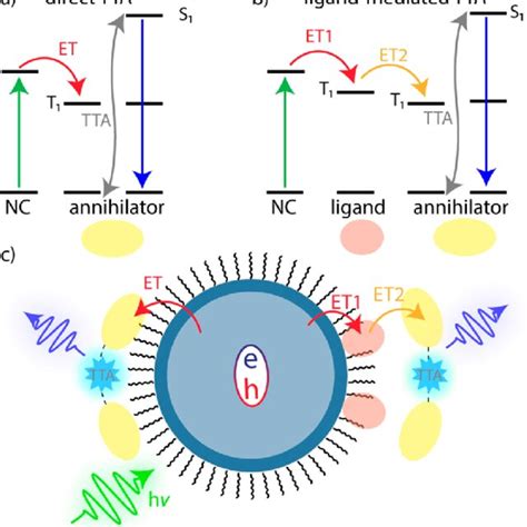 Schematic Of NC Sensitized TTA UC A Direct TTA Triplet Excitons Are