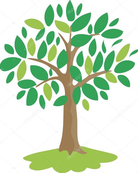 Magic Olive Tree Stock Vector By Direnko Katti