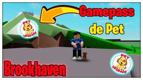 Saiu Como Conseguir A Nova Gamepass De Pet No Brookhaven Roblox