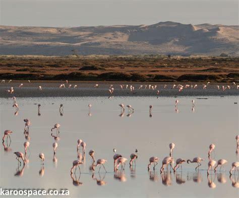 Alexander Bay, Northern Cape - Karoo Space