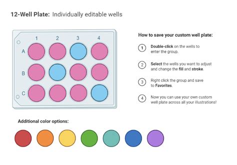 Editable 12-Well Plate | BioRender Science Templates