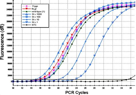 A Samples Of Semi Quantitative Rt Pcr Real Time Polymerase Chain