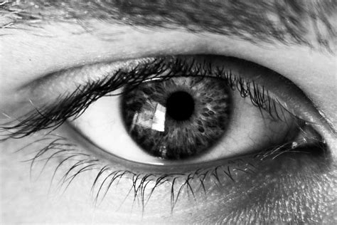 Lovely Black And White Eye Photos Of Eyes Eye Pictures Eyeball Art