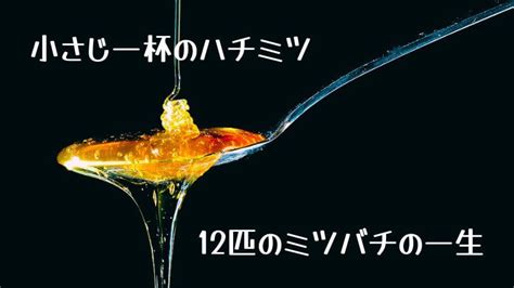 ヴィーガンがハチミツを食べない理由｜ミツバチの唯一の食糧を奪いたくないから