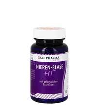 Nieren Blasen Fit GPH Kapseln 60 St Online Bei Pharmeo Kaufen