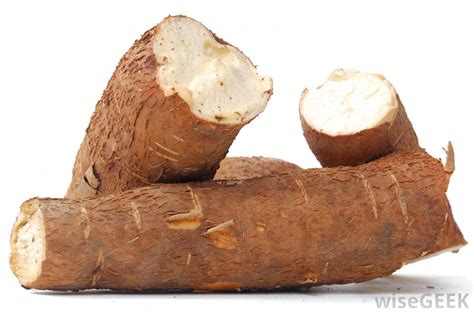 Tanzania To Export Cassava To China