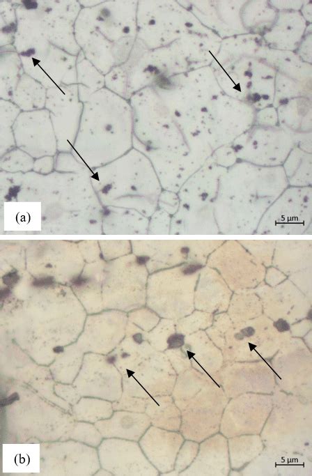 Original Microstructure Of Mg Az31b In Extrusion Condition In A