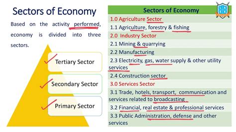 What Is Sectors Of Economy Sectors Of Economy అంటే ఏమిటి La Excellence Youtube