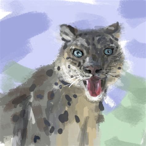 Снежный барс | Пикабу