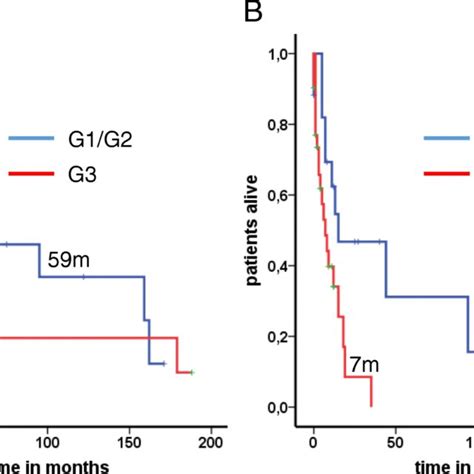 Median Overall Survival Depends On Grading G1g2 Tumors Presented A