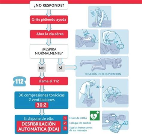 Algoritmo Rcp Basica Rcp Reanimacion Cardiopulmonar Rcp Basico Themelower