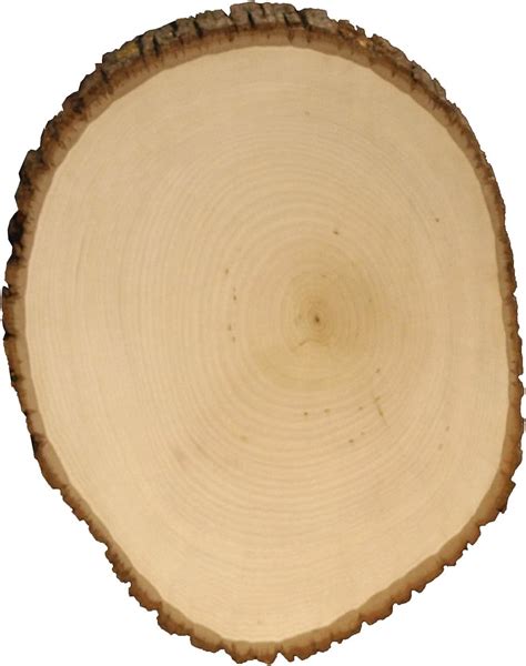 Walnut Hollow Basswood Country Round Extra Large For Woodburning Home Décor And