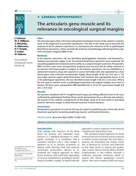 (PDF) The articularis genu muscle and its relevance in oncological ...