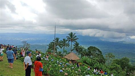 Puncak Bukit Tetetana Suluan Objek Wisata Baru Yang Instagramble