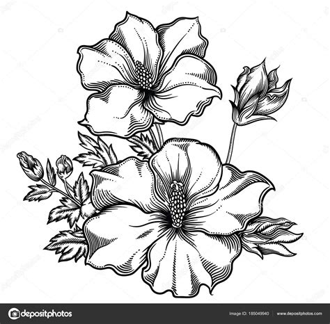 Blooming Exotic Flowers Detailed Hand Drawn Vector Illustration