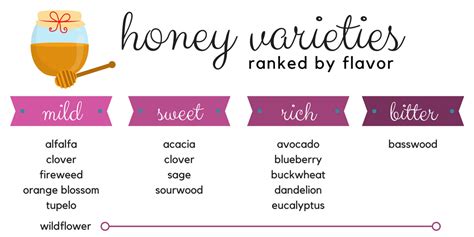 Honey Varieties: Which Honey Is Best | Markets at Shrewsbury