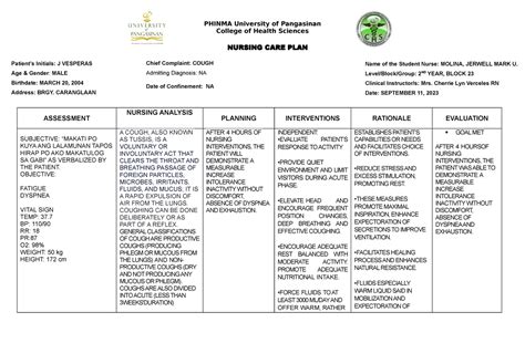 Ncp Template 2 1 Ncp Phinma University Of Pangasinan College Of