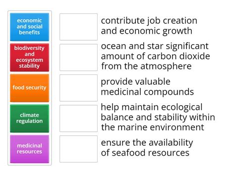 Importance Of Maintaining Health Marine Ecosystem Match Up