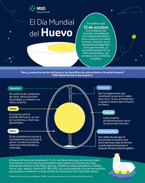 D A Mundial Del Huevo Mitos Sobre Su Consumo Y El Rol Protag Nico De