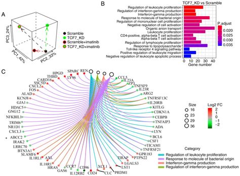 TCF7 Knockdown Inhibits The Imatinib Resistance Of Chronic Myeloid