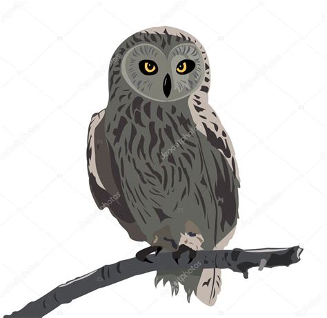 Owl Stock Vector Image By Laures 1194165