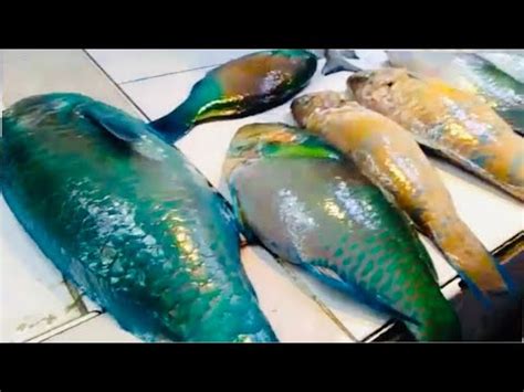 mga isda  iba pang yamang dagat