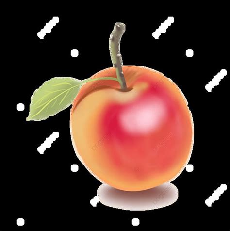 Hand Drawn Fruit Nectarine Vector Fruit Peach Nectarine PNG