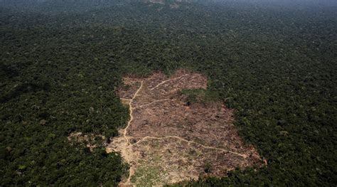 La Deforestación En El Amazonas Alcanza Su Nivel Más Alto En Diez Años