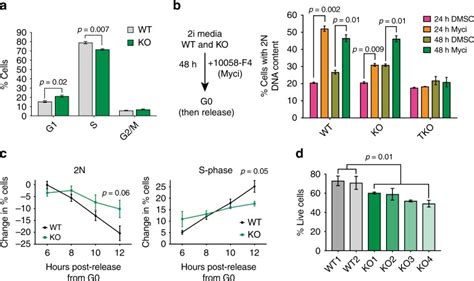 E2f4 Regulates Transcriptional Activation In Mouse Embryonic Stem Cells