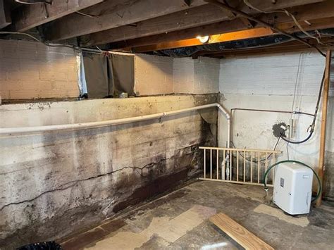 Woods Basement Systems Inc Basement Waterproofing Photo Album Moldy Basement Waterproofed