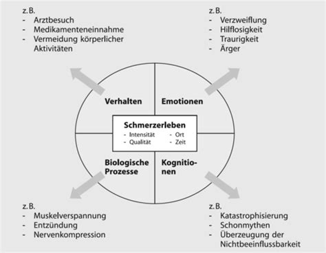 Ce Pflege Bei Menschen Mit Chronischen Erkrankungen Chronisch