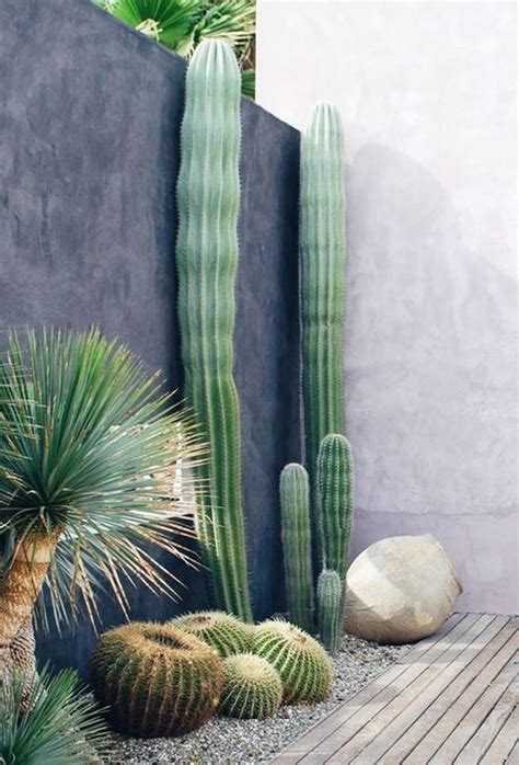 Atr Vete Con Los Cactus Inspiradoras Decoraciones Para Patios Y