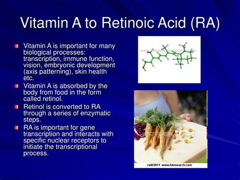 PPT Retinoic Acid Receptor α RAR α its role in Acute