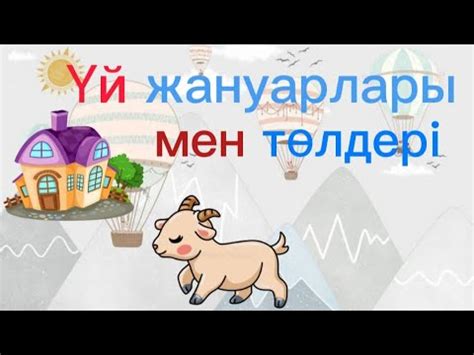 Үй жануарлары мен төлдері балаларға 2 3 4 жас Үй жануарлары - YouTube