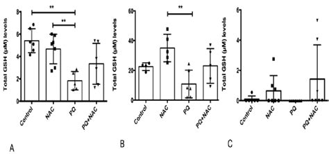 Glutathione GSH levels µM of A liver B brain and C lung