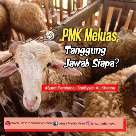 Pmk Meluas Tanggung Jawab Siapa Lensa Medianews