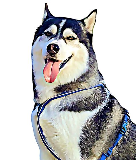 Husky Dog Animal Free Photo On Pixabay Pixabay