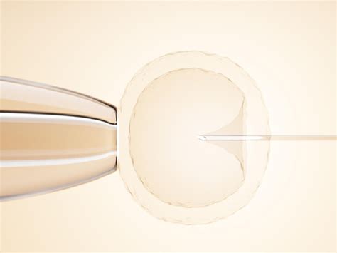 Premium Photo Ovum With Needle For Artificial Insemination Or In