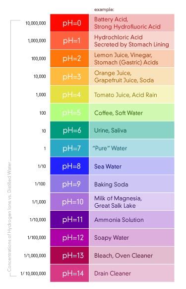 White Vinegar Ph Level / Ph And Acidity Their Difference And Importance In Vinegar Supreme ...