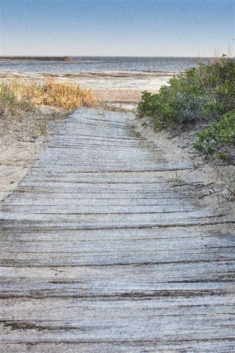 Wooden Walkway To Beach Stock Image Image Of Wooden Railing