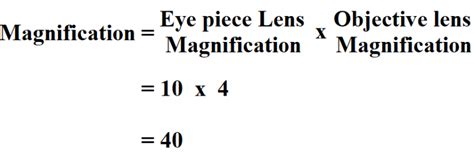 How to Calculate Total Magnification.