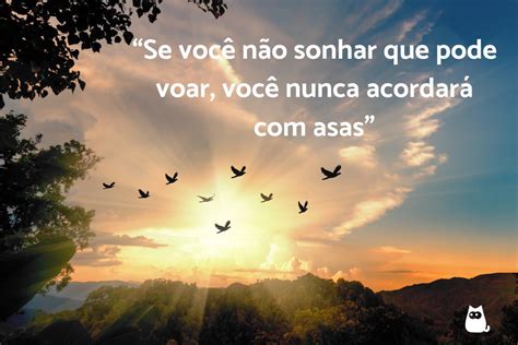 Frases Sobre P Ssaros E Natureza