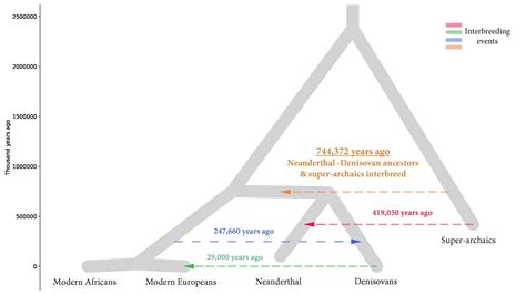 Earliest Interbreeding Event Between Ancient Human Populations