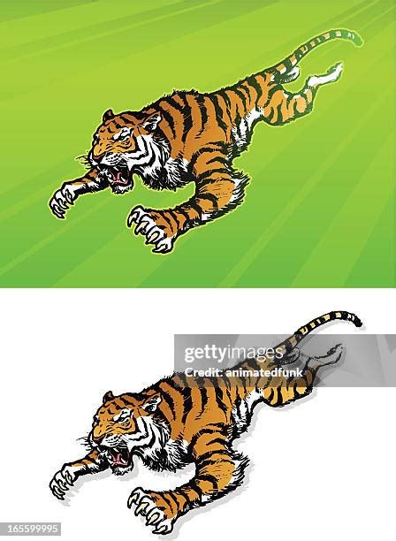 Tiger Attacking Prey Photos and Premium High Res Pictures - Getty Images