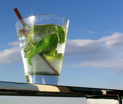 Simple Mojito Cocktail Recipe - Food Republic